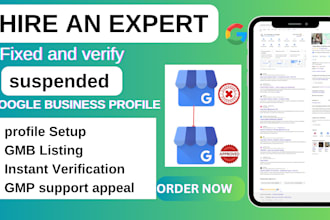 fix and setup google my business profile verification, reinstate suspended gmb
