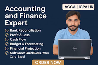 prepare balance sheet, profit and loss and financial projections