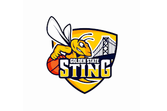 design top quality womens basketball team logo