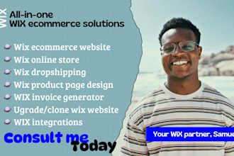build wix ecommerce website design wix online store wix dropshipping website wix