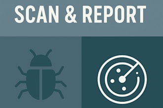 perform a professional website vulnerability scan and report