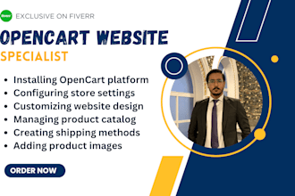 build opencart, online ecommerce store and premium responsive webshop