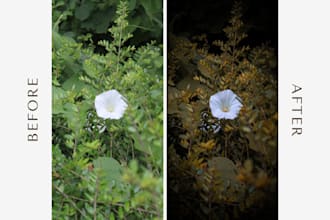 enhance your photos with professional color and lighting adjustment