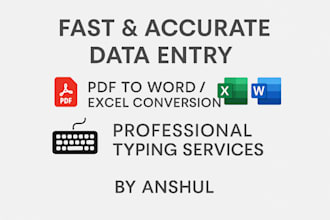 do accurate data entry, typing, and file conversion work