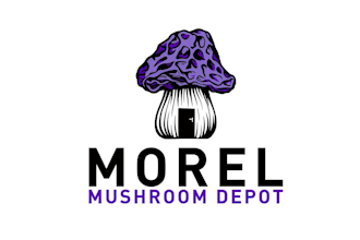 make an modern custom mushroom logo