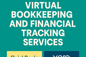 provide virtual bookkeeping and financial tracking services