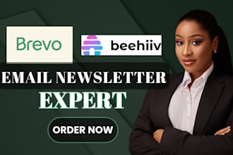 do email marketing real estate beehiiv newsletter brevo newsletter landing page