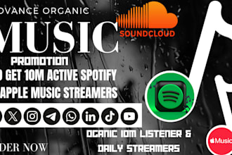 do attractive spotify ads campaign, spotify music promotion to hit 50m streamers