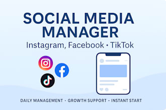 manage your social media accounts and schedule your post