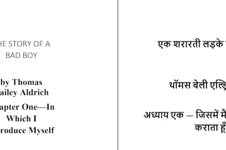 translate text, articles, blog posts, books and subtitles from english to hindi