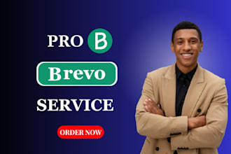 setup manage  brevo ecommerce email marketing klaviyo automation flows