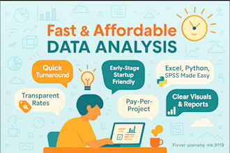 analyze, visualize, and interpret your data using python or excel