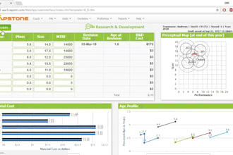 do capsim simulation tasks,capsim simulation rounds, and reports
