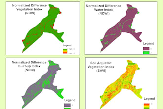 perform professional arcmap gis mapping, spatial analysis and digitization