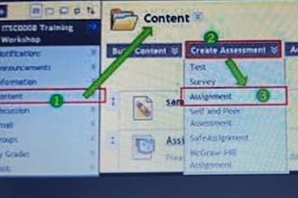 do article reflections, responses, blackboard, essays for you