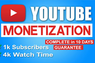 do youtube music video marketing, SEO, 10m organic views, yt subs, monetization