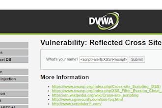 setup website security audit find vulnerabilities, sqli, XSS, csrf