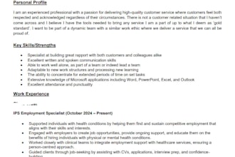write a gold standard CV and cover letter that illuminates your skillset