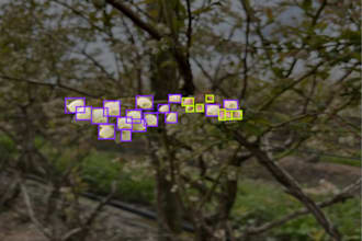 provide quality data annotation for all computer vision applications