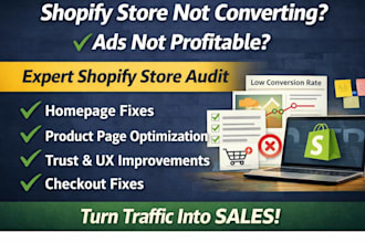 professionally review and audit your shopify store to increase conversions