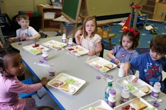 professional wordpress website for foster care and daycare services