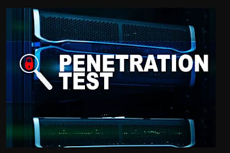 conduct web app vulnerability assessment and penetration testing