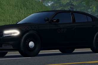 create you a high quality custom erlc or maple county livery