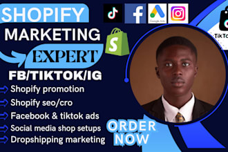 boost shopify sales market shopify store with tiktok and instagram shop, fb ads