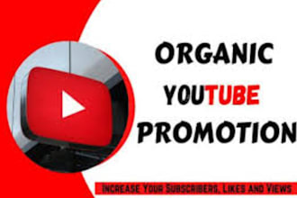 do organic youtube channel promotion to increase subscribers and views