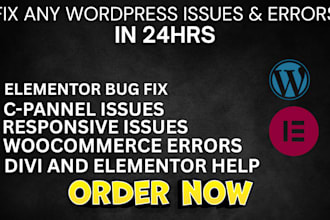 wordpress maintainace bug fixing revamp site with reliable wp support