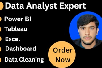 do create dashboard, data analyst in power bi, tableau, excel expert