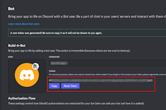 develop custom discord bots, do web maintenance and programming