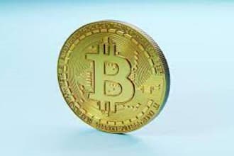 develop daily withdrawal bitcoin bot, btc bot on your devices