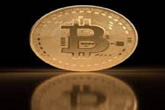 build latest profitable bitcoin bot, btc app for you