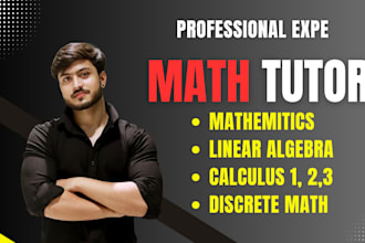 do online calculus stats,statistics probability,math task