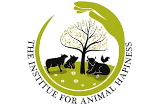 design creative dog, pet, cat, animal, pet care, pet farm and pet brand logo