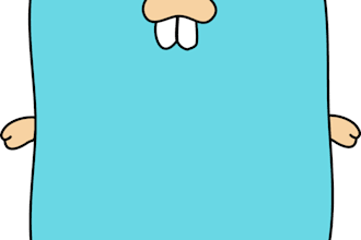 fix any bugs in your golang project
