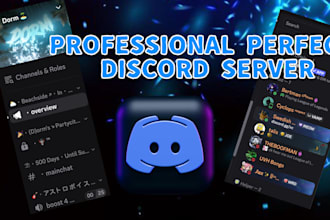 create a professional discord server or setup a existing one