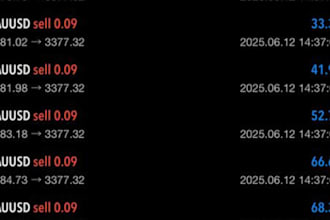 give high profitable forex trading bot, xauusd bot, btcusd bot, trading bot