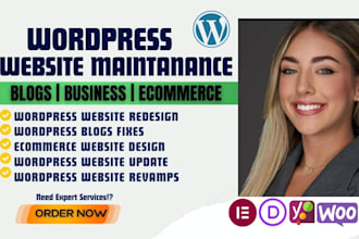 do website maintenance, wordpress support, website update, security, bug fix