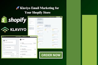 setup klaviyo email marketing, klaviyo email flows, shopify ecommerce campaign