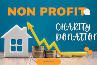 non profit charity donation website fundraising website 501c3