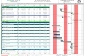 create gantt chart, wbs, baseline schedule in primavera p6