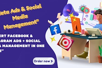 setup facebook and instagram campaigns for leads and sales
