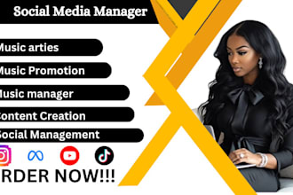 be your music arties social media manager promotion your music for any platform