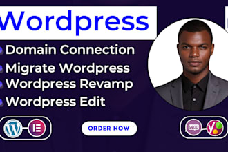 connect domain to any hosting, migrate website clone, revamp wordpress website