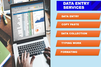 do professional data entry