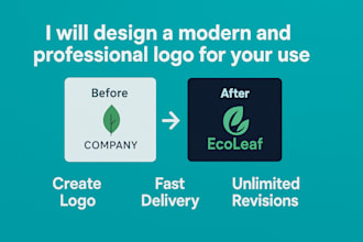 create a budget friendly professional logo design