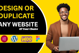 design or duplicate a wordpress website