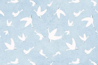 create repeat patterns, custom illustrations, or art that elevates your brand